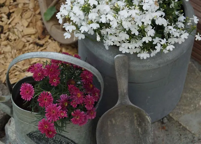 Hébergement de vacances Homes Garz - Ruegen - Insel Ruegen 3052 *