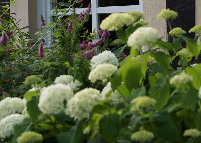 Hébergement de vacances Homes Garz - Ruegen - Insel Ruegen 3052 *