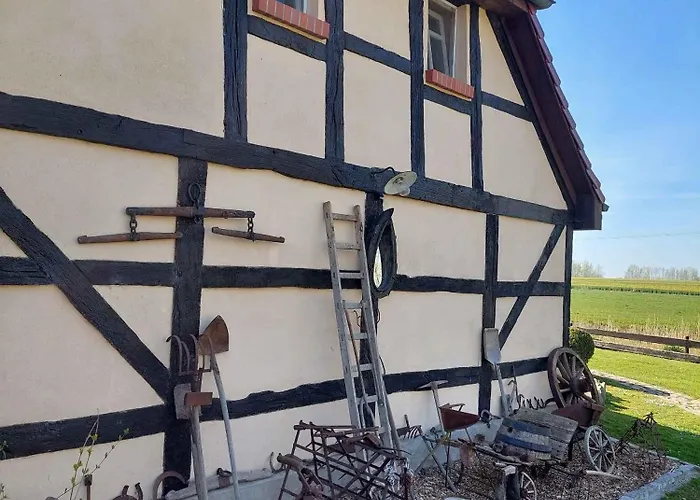 Ferienhaus Homes Garz - Ruegen - Insel Ruegen 3052 Garz (Rugen)